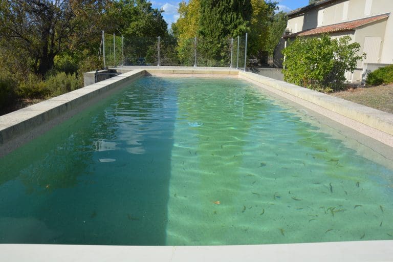Piscine nécessitant une filtration